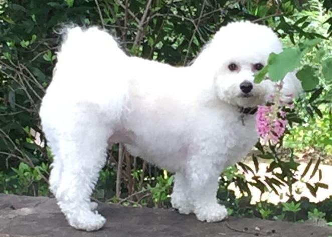 Pic of the Litter: Bailey Longoria
